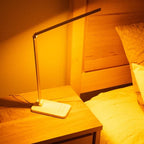 BioLight™ - Full Spectrum Lamp 5
