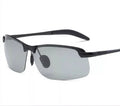 Polarized sunglasses