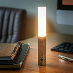 Modern Torch Motion Light 6
